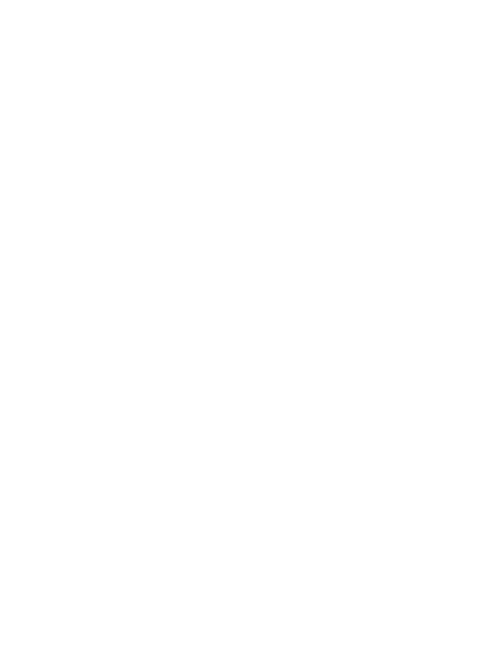 Abstract white background featuring a subtle, wavy light gray shape curving from the top right to the bottom right—perfect for a vet or Pet ER website seeking a soft, minimalist design that conveys professionalism and care.