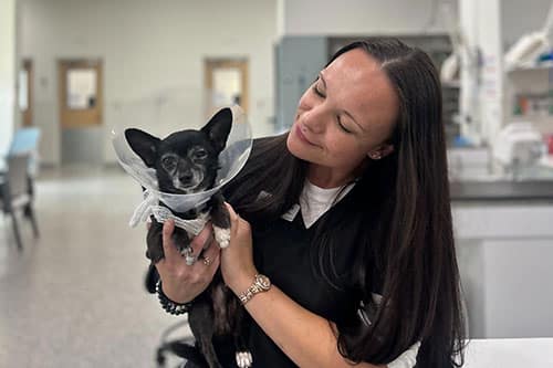 A woman with long dark hair smiles while holding a small black dog wearing a clear plastic cone at the Pet ER in a veterinary clinic setting.