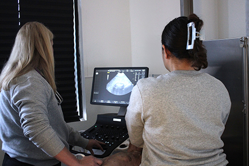 Two women are viewing an ultrasound image on a monitor; one operates the machine while the other sits beside her. Both are facing the screen, and the room has minimal lighting.