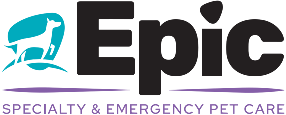 Logo for Epic Specialty & Emergency Pet Care, featuring a white dog silhouette in a turquoise shape to the left of the word "Epic" in bold black letters, with purple text below.